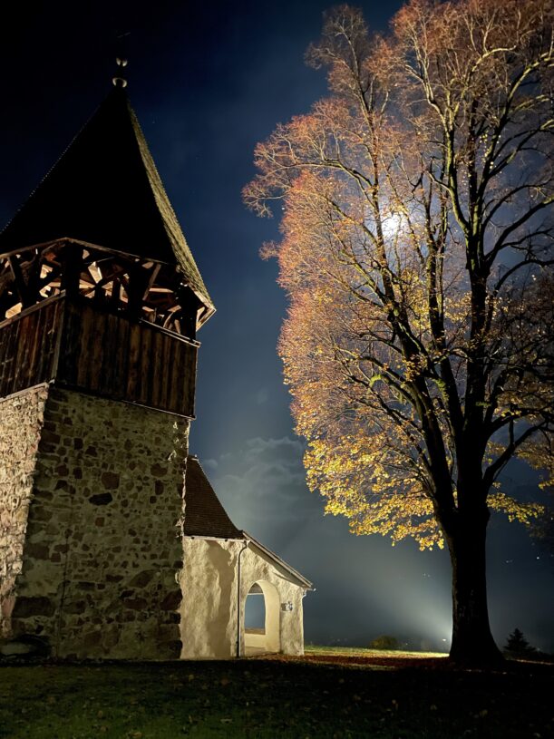 Das Jahr 2022 ein Rückblick Demokraten Pro Liechtenstein